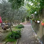 Seyir إزنيق
