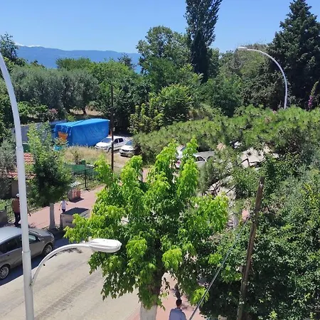 Seyir İznik
