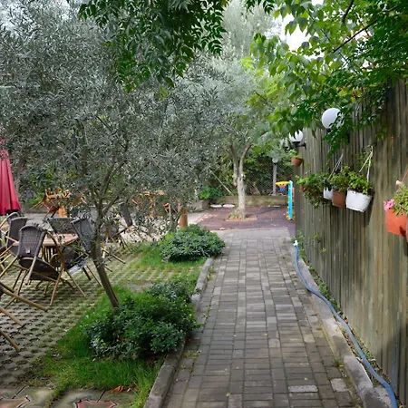 Seyir İznik