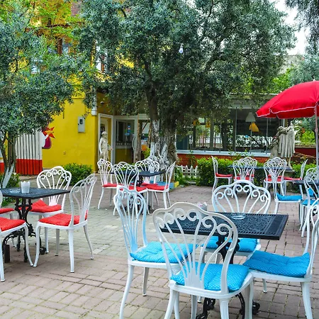 Seyir İznik