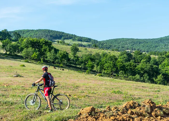 Отель Seyir Изник