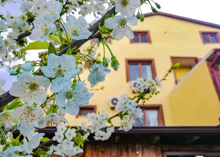 Отель Seyir Изник